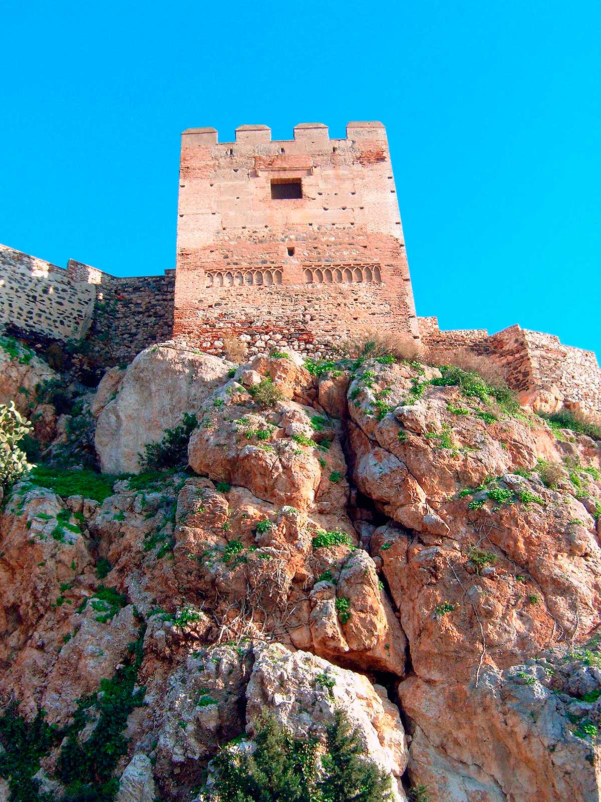 Castillo de la Salobreña